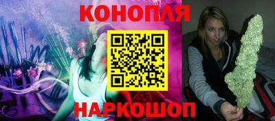 шишки Аргун