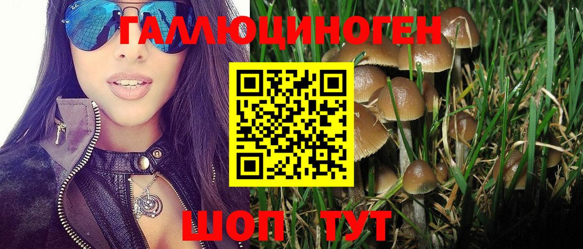 Псилоцибиновые грибы GOLDEN TEACHER Выборг
