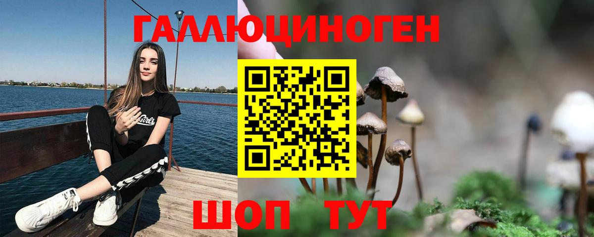 Выборг  Псилоцибиновые грибы мухоморы  Вход с VPN  Псилоцибиновые грибы MAGIC MUSHROOMS 