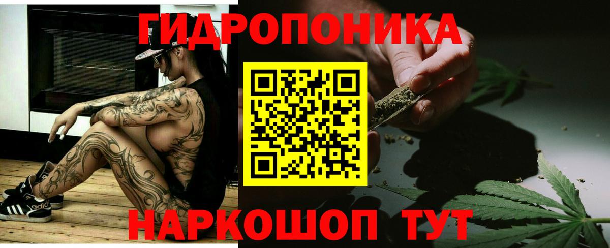 Конопля планчик  Бошки марихуана Bruce Banner  Выборг 